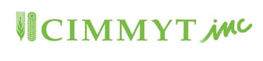 CIMMYT